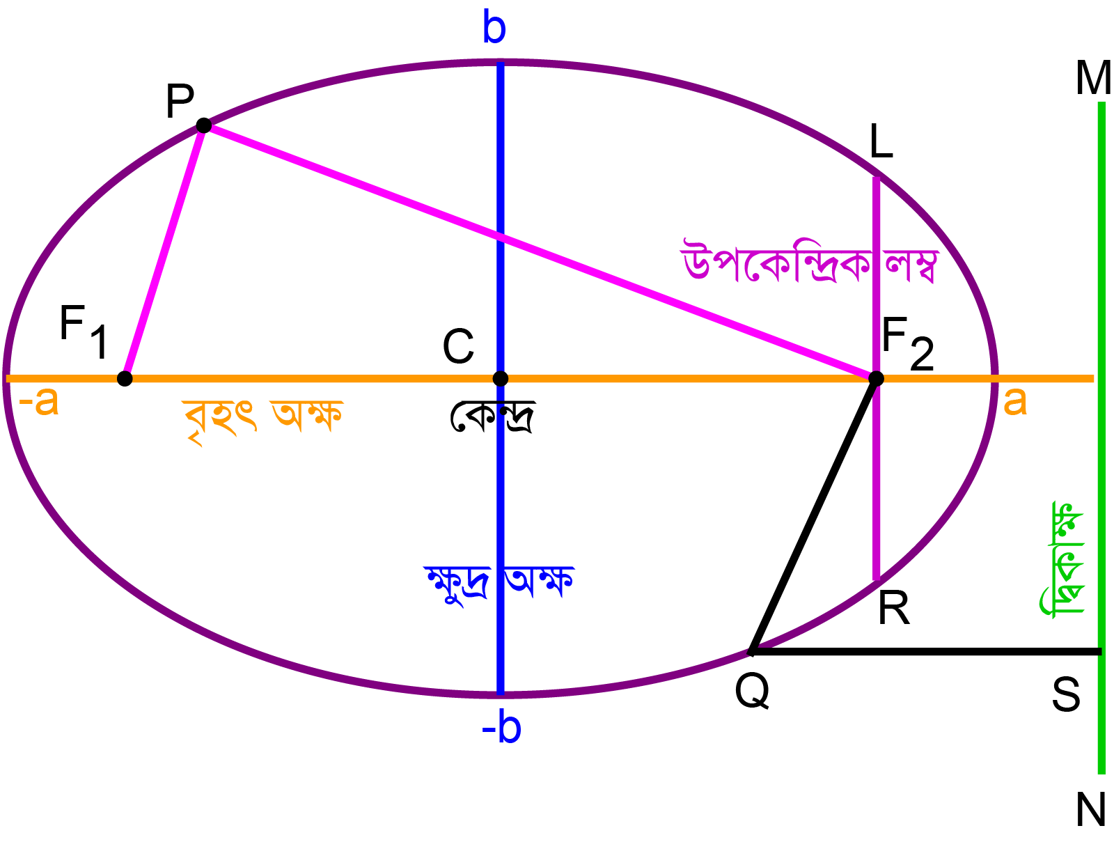 একটি উপবৃত্ত চিত্র
