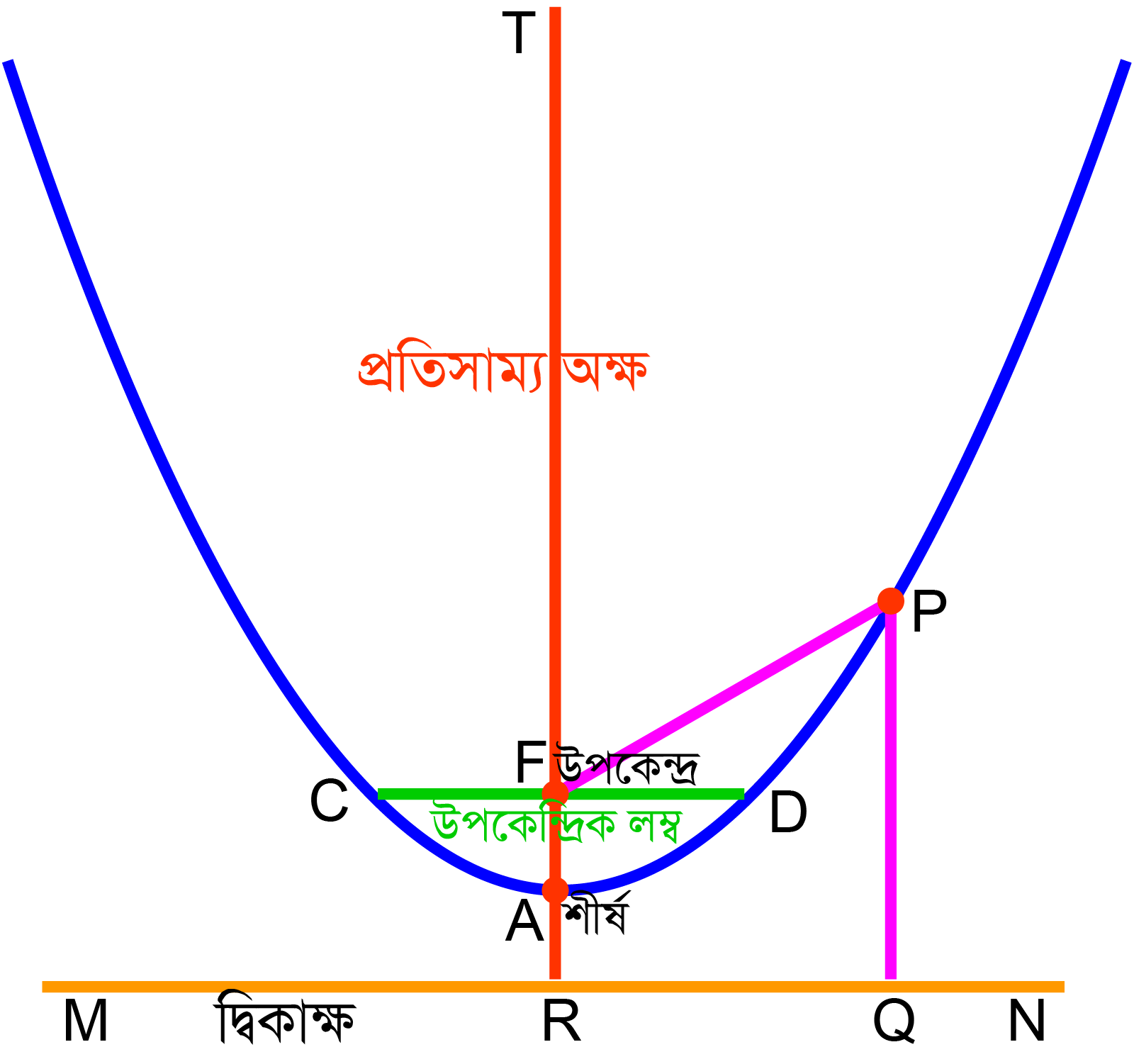 একটি অধিবৃত্ত চিত্র